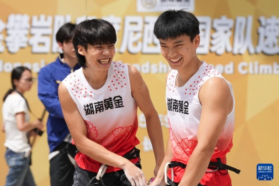 罗比, 在比赛中