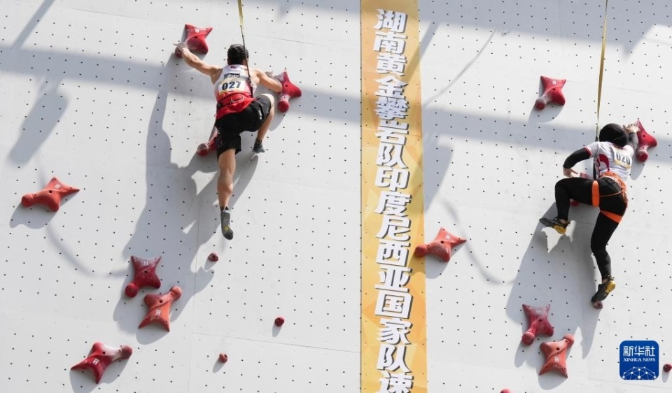 Zctx, 罗比, 龙金宝