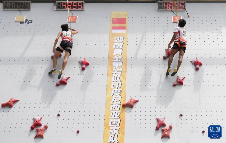 中国湖南黄, https